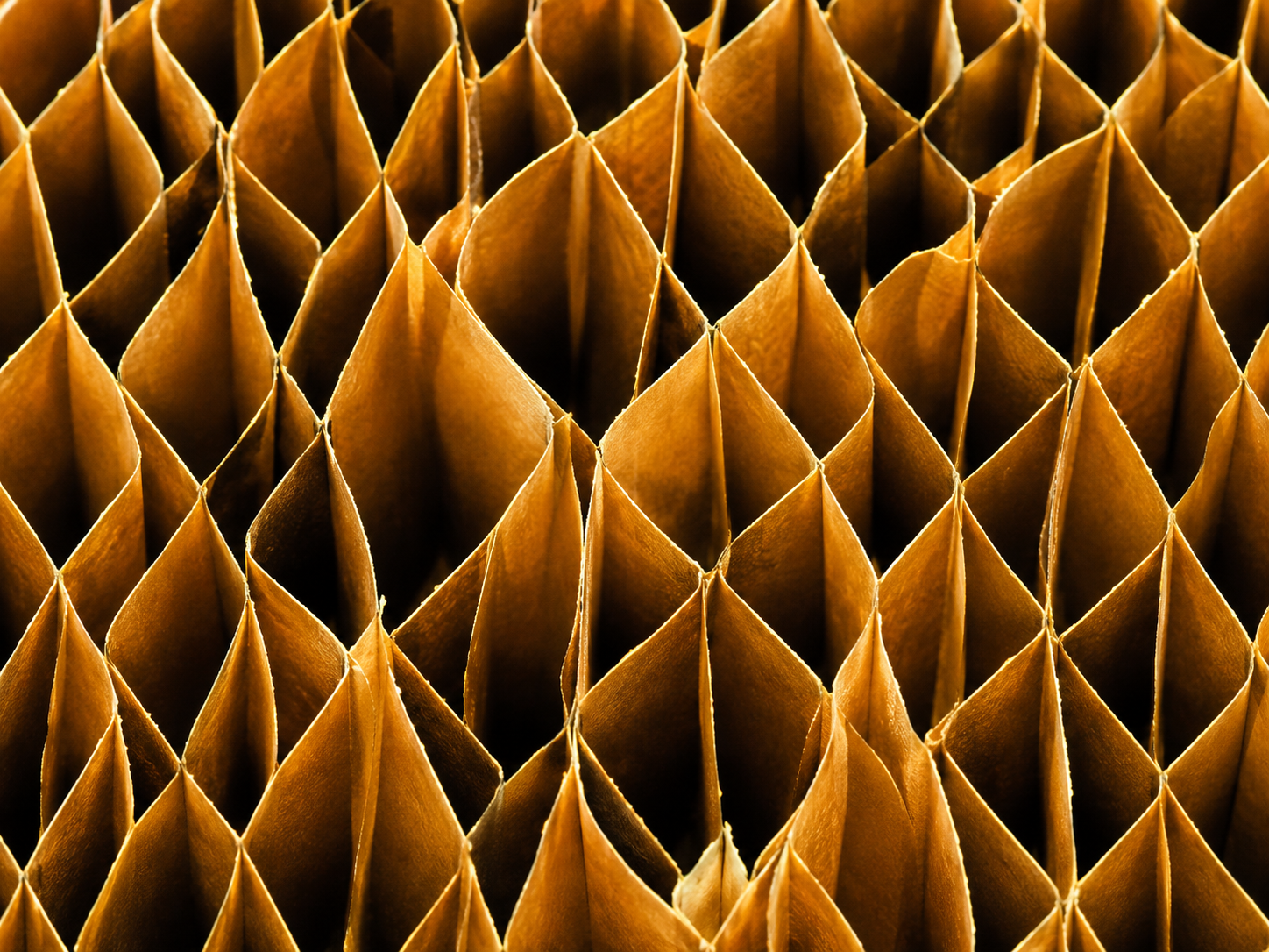 Close-up of the dark gradient filtration media.